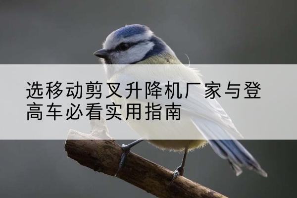 卢龙电动升降机厂家-选移动剪叉升降机厂家与登高车必看实用指南