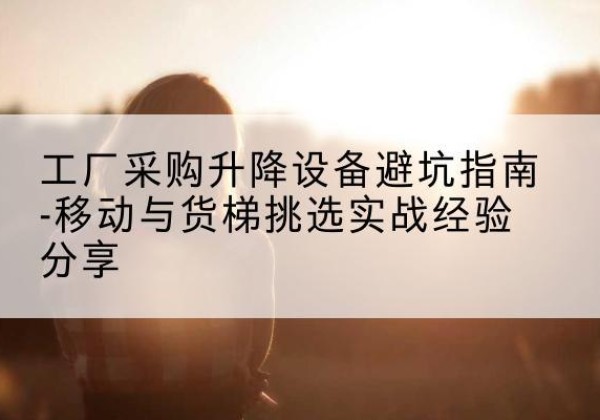 卢龙移动式升降机怎么选-工厂采购升降设备避坑指南-移动与货梯挑选实战经验分享
