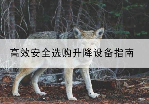 卢龙升降货梯厂家推荐-*安全选购升降设备指南