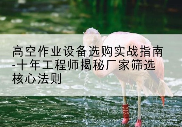 卢龙剪叉式升降机厂家-高空作业设备选购实战指南-十年工程师揭秘厂家筛选核心法则